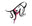 Pink Lady-Best Ladies Fashions logo