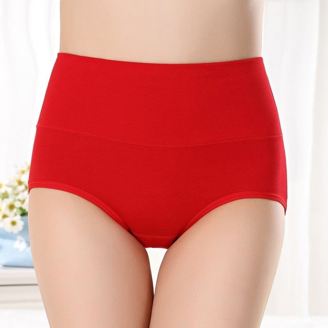 SEEDRULIA Women's briefs Comfortable Cotton High waist underwear Women Sexy Ultra-thin Panties