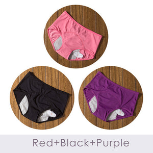 3pcs/Set Menstrual Panties Women Sexy Pants Leak Proof Incontinence Underwear Period Proof Cotton Briefs High Waist Warm Female